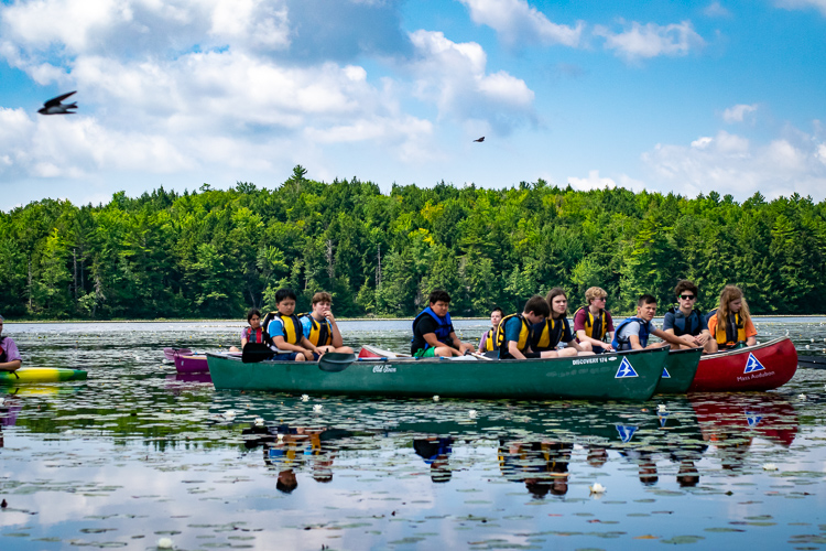 The swallows were darting everywhere on this paddle!