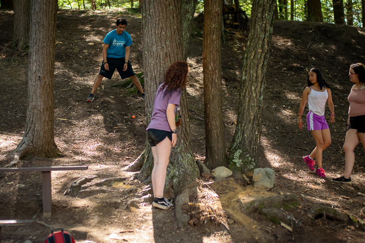 This amazing mini-golf course cuts a track between the trees and off a couple of rocks!