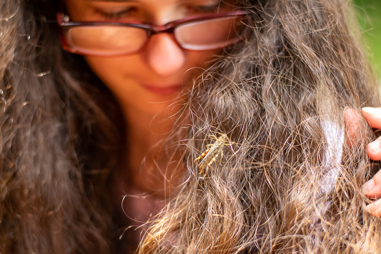 Catching grasshoppers in curly hair!