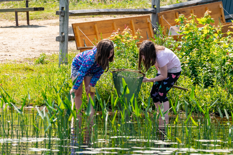 Ponding for interesting creatures along the shoreline