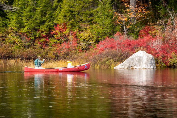 Wildwood is uniquely beautiful dressed in fall foliage!