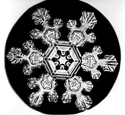 The Science behind Snowflakes