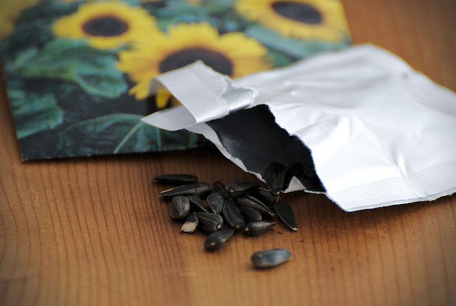 Seeds copyright Lucy Bridges via flickr