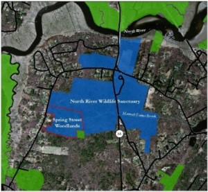 Spring Street Woodlands map