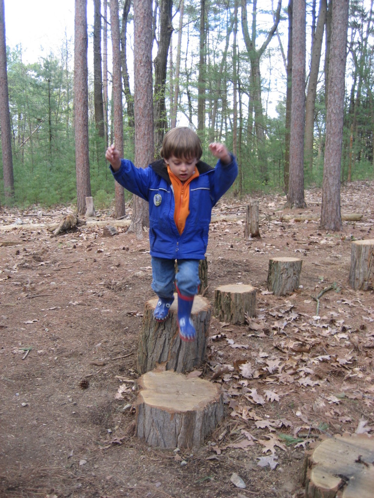 Drumlin Farm Forest Discovery Trail