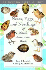 Nests, Eggs, and Nestlings