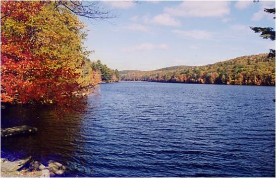 Lower Spectacle Pond in Sandisfield