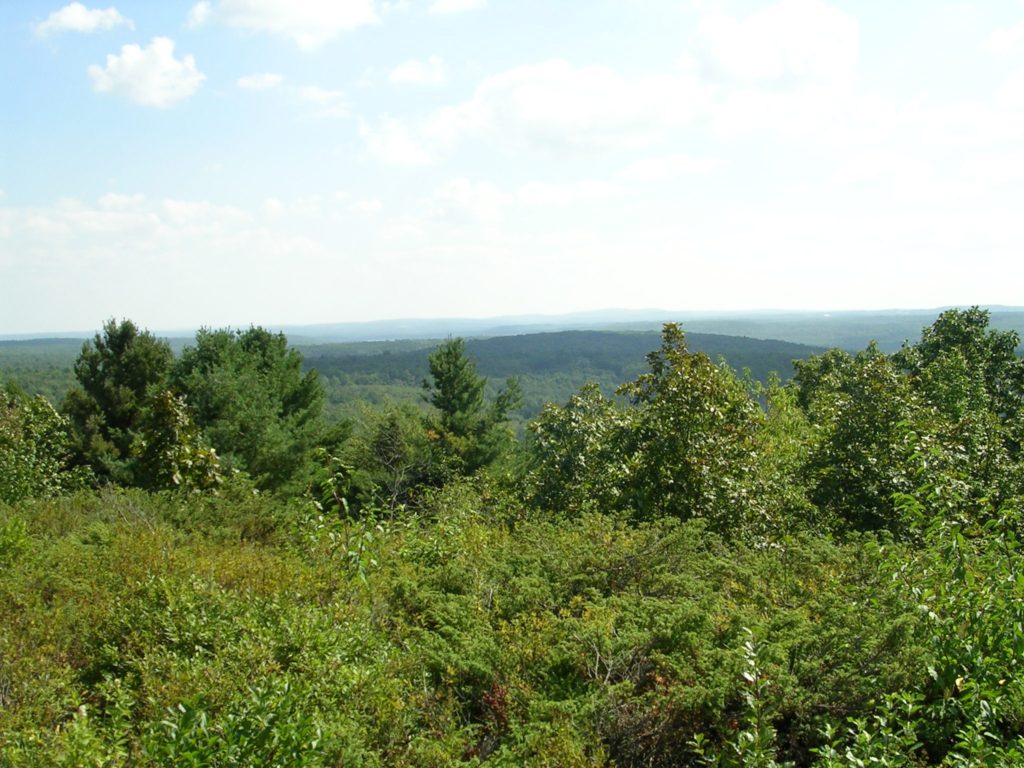 another view from Wachusett sanctuary 008