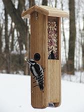 Cedar Woodpecker Feeder
