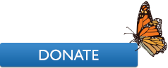 donate-button-butterfly_smaller