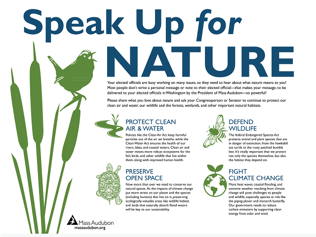 advocacy examples about nature