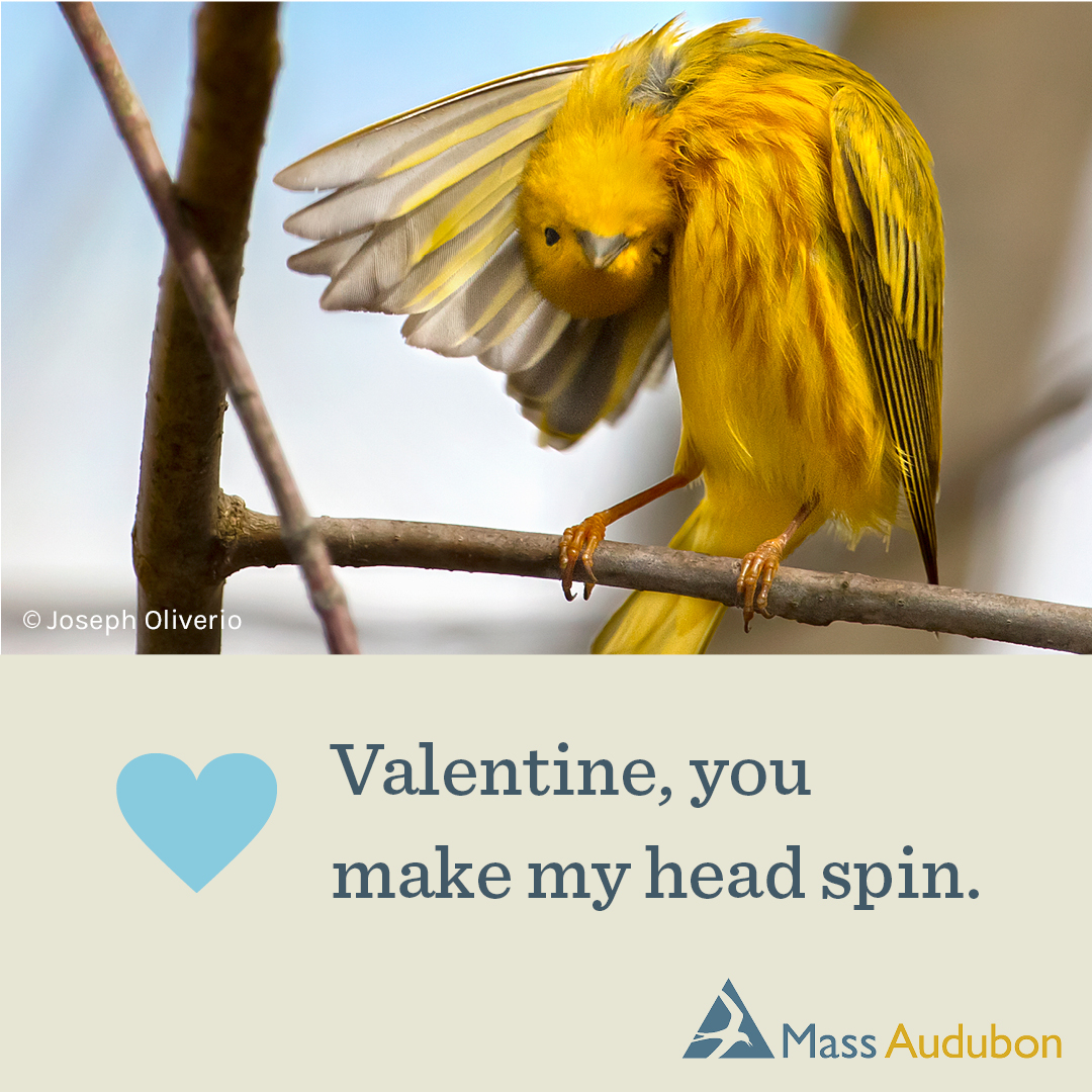 Valentine, you make my head spin.