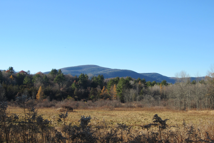 Land Conservation at Lime Kiln Farm