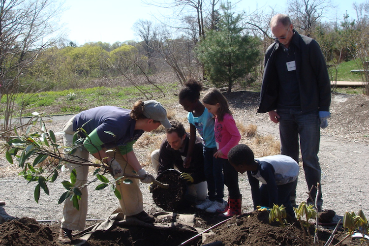 Volunteers Planting a Tree