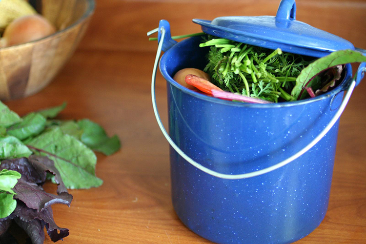 compost in living room