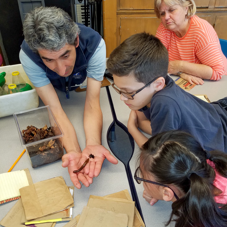 Flavio holding a millipede and showing it to children as part of a school program in Lowell.