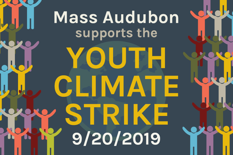 Mass Audubon supports the Youth Climate Strike