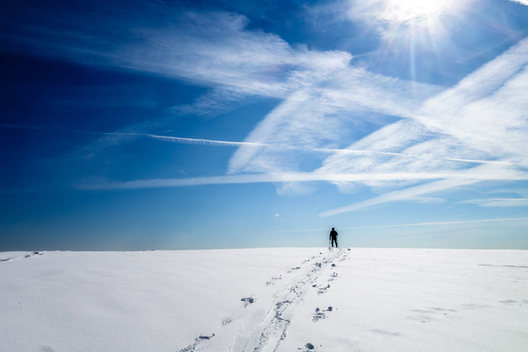 Winter Ski Tracks © Heidi Besen