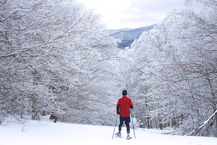 Winter Snowshoeing © Bill Madden