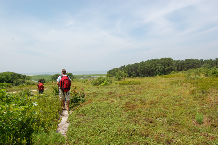 Walking the trails at Wellfleet Bay © Amanda Simon