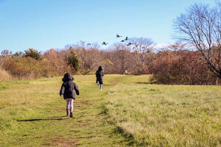 Kids walking at Daniel Webster © Kylie Palomba