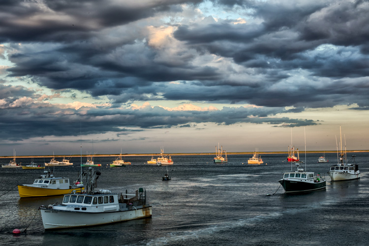 Chatham, MA © Carol Duffy