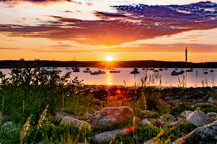 Eastern Point Wildlife Sanctuary © Michael Le