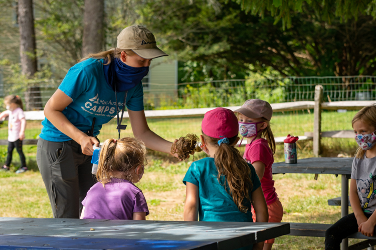 Campers inspect a bird nest at Wachusett Meadow Nature Day Camp in Princeton