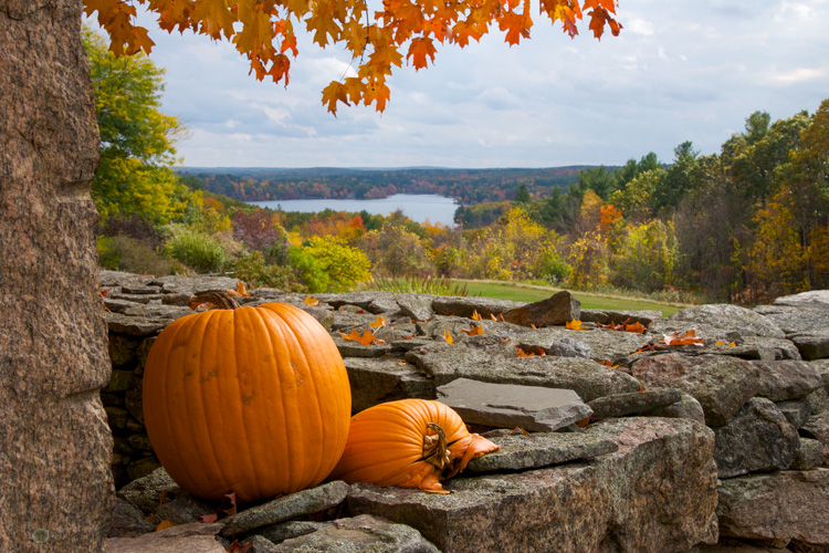 Manchaug Pond, Sutton, MA © Marty Jo Henry