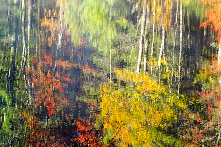 Impressionistic Autumn Color in Rutland, MA © Kimberly Beckham