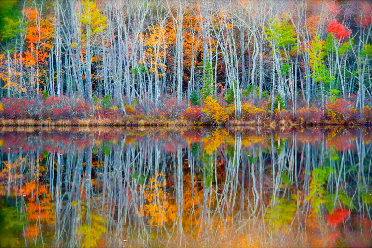 Fall Color at Bottomless Pond in Sudbury, MA © Bryan Gammons