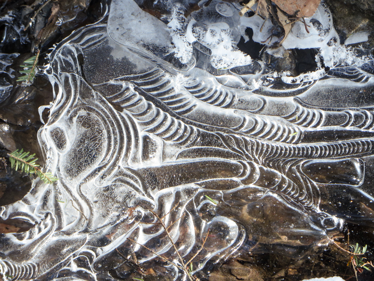 Ice formations over a stream on Wolves' Den Trail at High Ledges in Shelburne