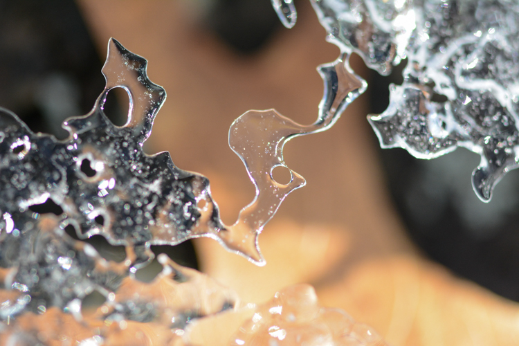 A delicate ice formation © Josh Philibert