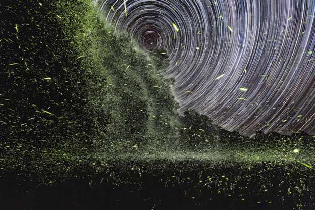 Fireflies and Star Trails, Winner: Landscapes, under 18 © Will Draxler