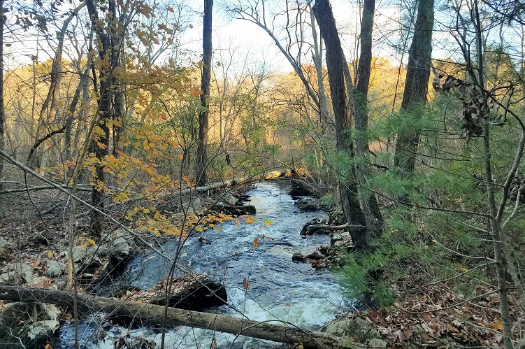 Pequit Brook