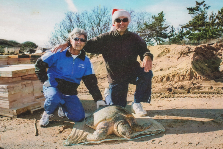 Barbara and her husband Nick with a cold-stunned Loggerhead sea turtle