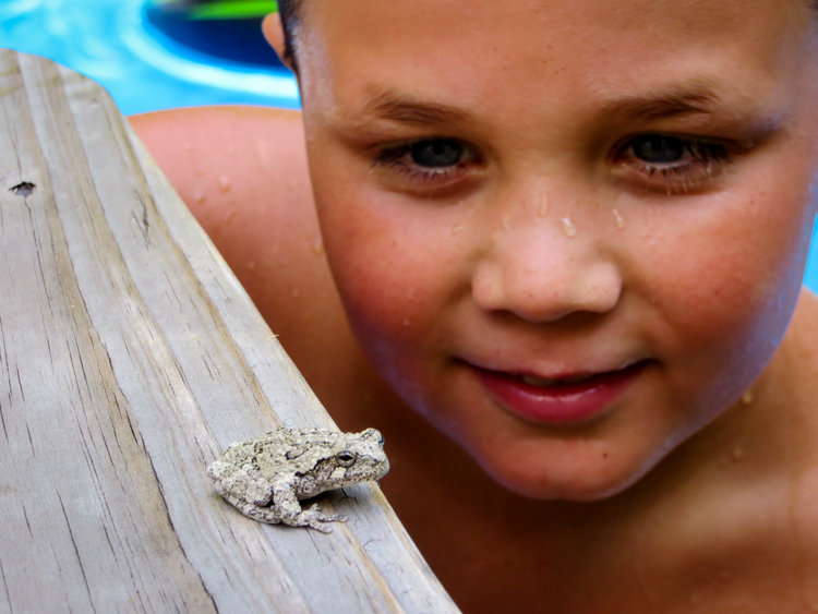 Close Encounter with a Gray Treefrog © Melissa Shelley