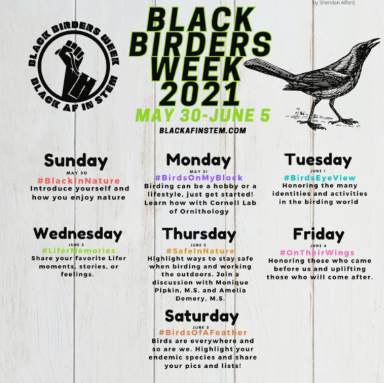 Black Birder's Week 2021 Schedule Overview