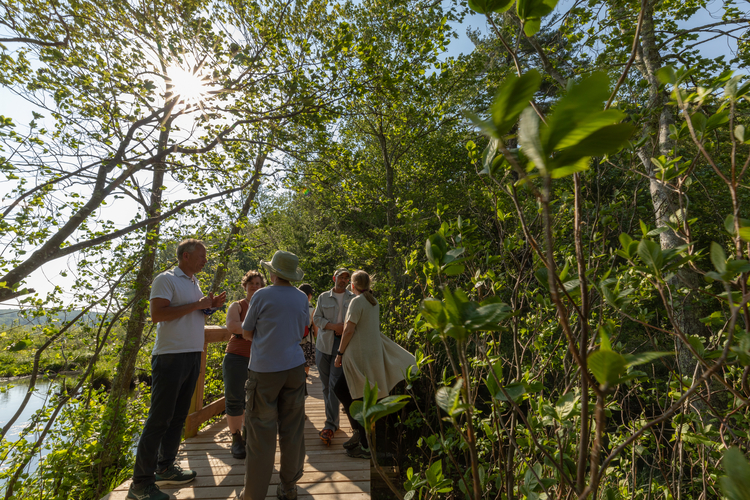 Mass Audubon President David O'Neill speaks with sanctuary supporters on the new bridge, which is surrounded by trees and water to the left.