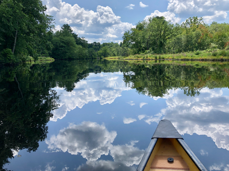 Charles River in Needham by canoe © Kathy Diamond