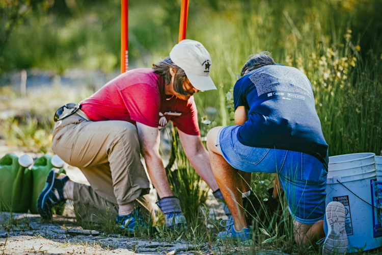 Volunteers Lisa Meeks (left) and Jan Spence plant the final shrub—a winterberry—at a ceremony celebrating the completion of the Tidmarsh restoration project. 