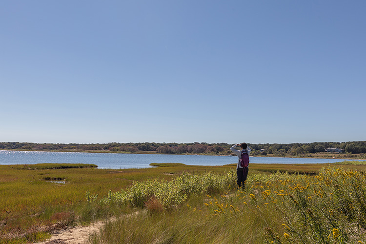 Nia Keith taking in the view at Felix Neck Wildlife Sanctuary in Edgartown