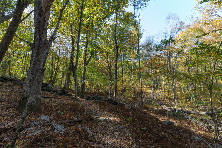 Looking at a path that crosses over a crumbled part of a rock wall. The treetops have some green, but the forest floor is covered with orange and brown leaves.