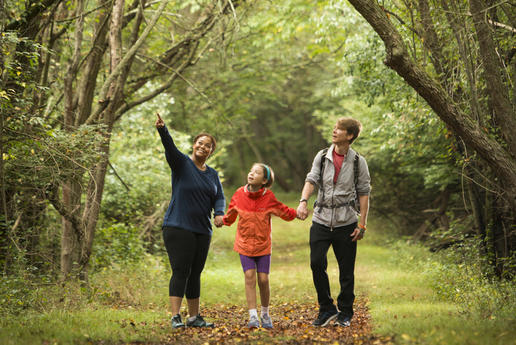 Family holding hands on a path in the woods.