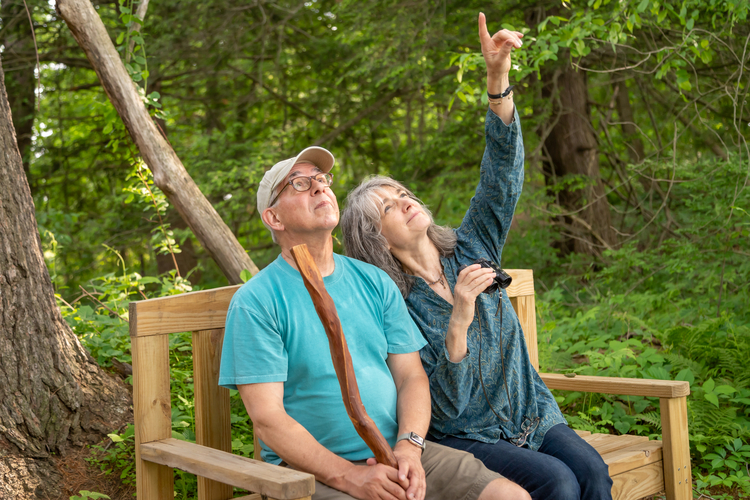 An older white man and woman sitting on a bench in the woods. Both are looking up with the woman pointing at something in the trees above. 