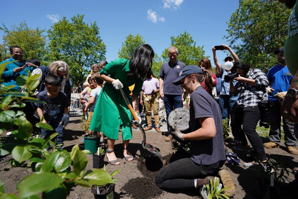 Mayor Wu, Erica Holm, David O'Neill and others planting a tree
