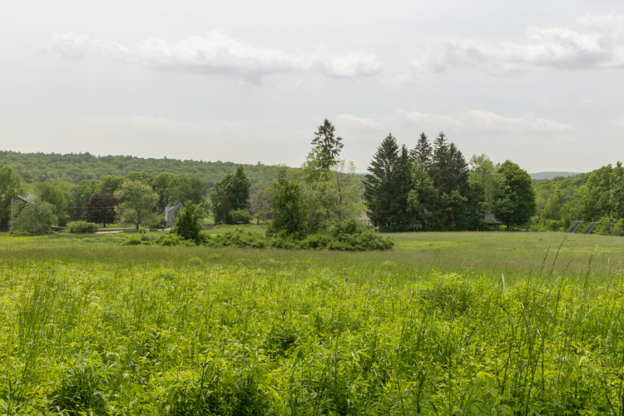 How To Make The Most Of The 40th Anniversary Of Bird-a-thon | Mass ...