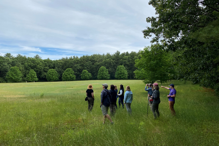 A group of birders in a meadow looking off into the distance at the trees. 